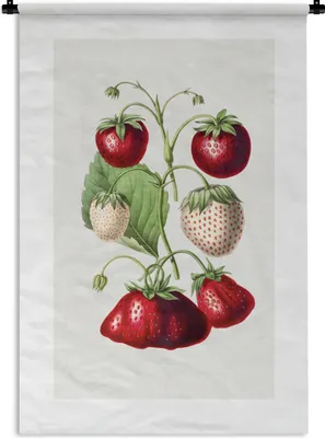 Produktbild von MuchoWow® Wandteppich Wandbehang Erdbeere - Obst - Lebensmittel 90x135 cm Tapisserie Dekoration Wandtuch - Baumwolle - Wandskulptur