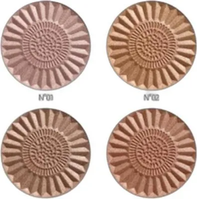 Zdjęcie produktu dla Puder Brązujący Z Efektem Shimmer Revers 02