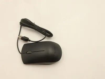 Zdjęcie produktu dla Lenovo Usb Mysz Black, 00Ph131