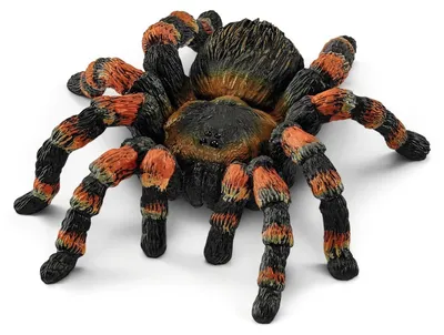Zdjęcie produktu dla Schleich Dzika Tarantula