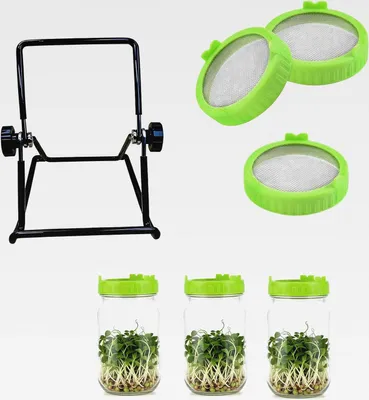 Produktbild von 3 Stück Grün Sprossenglas Deckel mit Edelstahl-Siebkeim, Ablauf-Organizer Klappbarer Schwarz Ständer, 86mm Keimglas für Sprossen Deckel Verrottungsfest und Robust, Einmachglas Deckel (Grün 1)