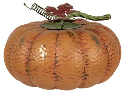Obrázek produktu pro Clayre & Eef Dekorace Dýně Ø 31x20 cm Oranžový kov