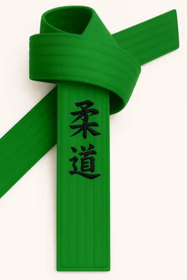 Produktbild von Ju Jutsu Gürtel Grün bestickt - Ju Jutsu Schriftzeichen japanisch - Grüngurt mit Kanji Bestickung - 240 cm Länge