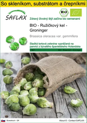 Obrázok produktu pre SAFLAX Kultivačný set - BIO - Ružičkový kel - Groninger - Brassica oleracea var. gemmifera - 30 Semená - S mini skleníkom, pestovateľským substrátom a 2 črepníkmi