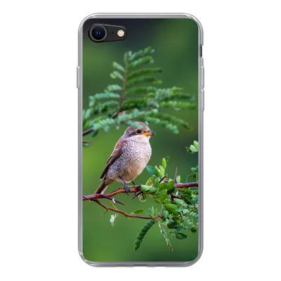 Produktbild von MuchoWow® Handyhülle Schutzhülle Hülle für iPhone SE 2022 Vogel - Baum - Wald Silikon Softcase Handy Hülle - Schutzhülle