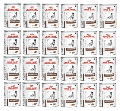 Zdjęcie produktu dla Royal Canin Vet Gastro Intestinal Canine 24x400g