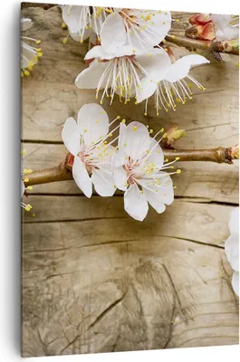 Produktbild von Bild auf Leinwand - Leinwandbild - Einteilig - Blume Stängel - 70x100cm - Wand Bild - Wanddeko - Wandbilder - Leinwanddruck - Kunstdruck - Wanddekoration - Leinwand bilder - Wandbild - PA70x100-3537