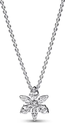 Produktbild von Pandora Kette Herbarium Cluster 392387C01-45 Silber