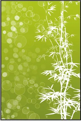 Produktbild von Wallario Wandbild Bambusmuster grün-weiß, Größe: 61 x 91,50 cm, Poster mit schwarzem Aluminiumrahmen