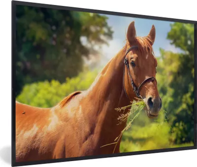 Produktbild von MuchoWow® MuchoWow® Gerahmtes Poster Pferd - Licht - Porträt 90x60 cm - Poster mit zchwarzem Bilderrahmen - Fotorahmen - Foto-Plakat