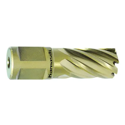 Immagine prodotto di Punta a  HSS Ø 13 mm Weldon da 19 a 30 mm