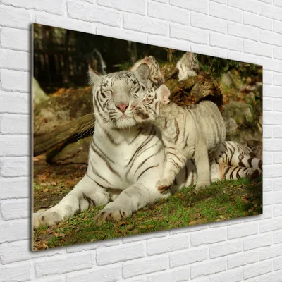Produktbild von Tulup® Glas-Bild - 100 x 70 - Wandbild aus Glas - Wandkunst - Wandbild hinter gehärtetem Sicherheitsglas - Tiere - Tiger - Beige