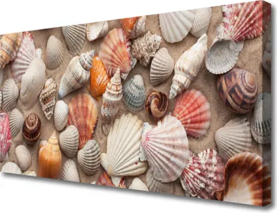 Produktbild von Tulup Leinwand-Bilder 100x50 Wandbild Canvas Kunstdruck Muscheln Kunst