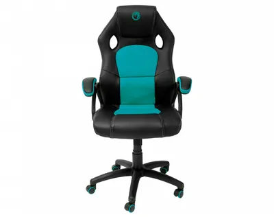 A gaming chair is shown against a white background.