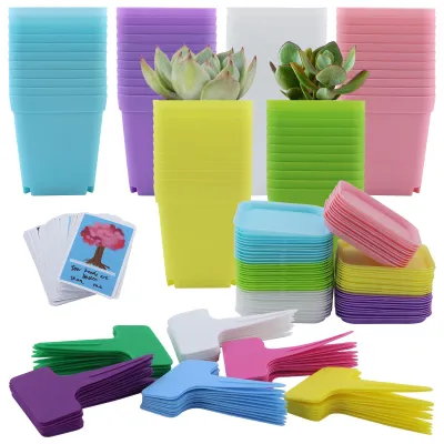Productafbeelding van Set van 66 kweekpotten, 7 cm, vierkant, met schotel voor vetplantenzaden