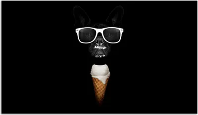 Produktbild von Wallario Herdabdeckplatte aus Glas, Größe 90 x 52 cm 1-teilig, Motiv Hund mit Eis