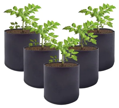Image de Lot de 5 sacs de culture respirants pour légumes