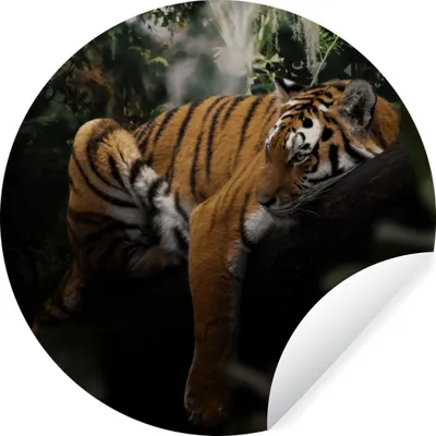 Produktbild von MuchoWow® - Mauerkreis - Wand Bilder - Wandsticker - Wohnzimmer Dekoration - Dekoration für die Wände - Aluminium - Babyzimmer