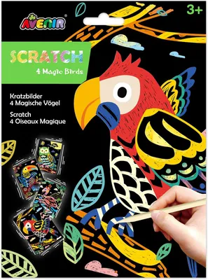 Produktbild von Avenir Scratch 4 magische Vögel