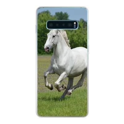 Produktbild von MuchoWow® Handyhülle Schutzhülle Hülle für Samsung Galaxy S10 Lite Pferde - Natur - Weiß Silikon Softcase Handy Hülle - Schutz