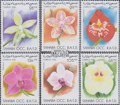 Produktbild von Briefmarken Sahara 1996 Mi Ausgabe der Exilregierung ohne Gültigkeit im int. Postverkehr Nr.9 postfrisch Blumen