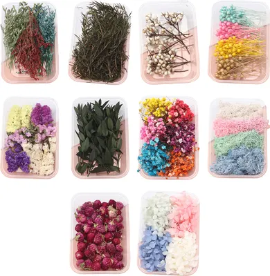 Produktbild von Trockenblumen-Set, echte natürliche Blumen, getrocknete Blumen in großen Mengen, DIY-Ewige Blumen, Material für handgefertigten Schmuck, Nägel, Basteln, B