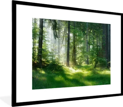 Produktbild von MuchoWow® Gerahmtes Poster Natur - Bäume - Wald - Grün - Sonne - Gras - Pflanzen 80x60 cm - Poster mit Schwarzem Bilderrahmen Wandposter Rahmen Foto Bilder - Schlafzimmer-Dekorationen - Fotoposter