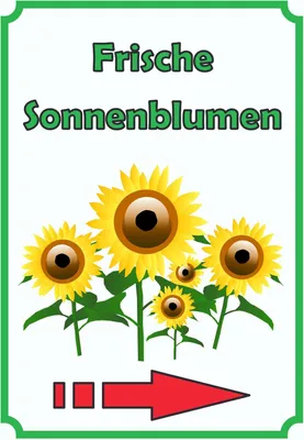 Produktbild von Sonnenblumen Schild Hochkant mit Pfeil rechts A3 (297x420mm)