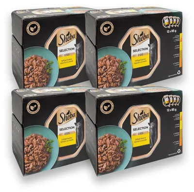 Produktbild von SHEBA Portionsschale Mutlipack Delikatesse in Gelee Geflügel Variation 4 x 12 x 85g