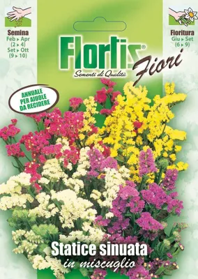 Produktbild von Strandflieder Mischung | Strandfliedersamen von Flortis