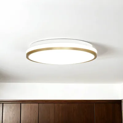 Obrázek produktu pro LED stropní svítidlo kovové Ø 28 cm v bílé zlaté barvě kulaté 4000 K neutrální bílá 730 lm stropní světlo