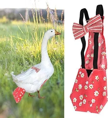 Produktbild von Hühnerwindel Verstellbare Haustierwindel Geflügeltuch Haustier Windel Gans Huhn Ente Tauben Einstellbare Geflügel für Gänseenten Henne Huhn(L-Rot)