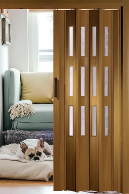 Produktbild von Forte Kunststoff-Falttür "Luciana" B 88,5 x H 202 cm Buche 3 Fenster