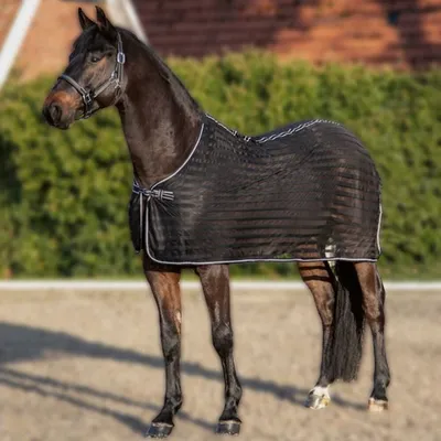 Image de Chemise anti-mouches HKM - noir