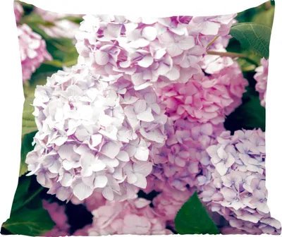 Produktbild von MuchoWow® Zierkissen Sofakissen Wohnzimmer Dekokissen 45x45 cm Rosa Hortensie - Schlafpolster - Polster für das Sofa