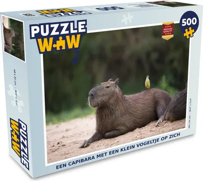 Obrázek produktu pro MuchoWow MuchoWow® Puzzle 500 ks Kapybara s malým ptákem na sobě
