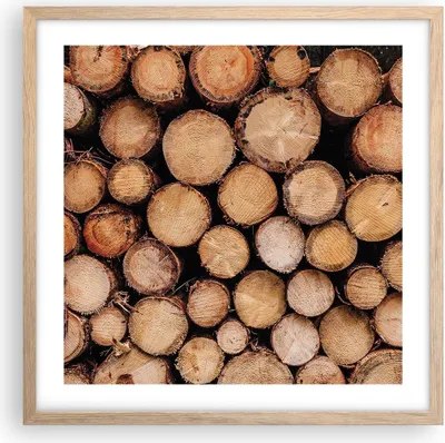 Produktbild von Gerahmtes Poster - Rahmen in heller Eiche - Holz Baumstämme Stämme - 50x50 cm - Wand Bild - Wanddeko - Wandbilder - Kunstposter - Wandposter - Bilderrahmen - Bilder - Kunstdruck - P2NAC50x50-4864