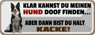 Produktbild von vianmo Blechschild 10x27 cm Meinen Hund doof du kacke Dekoration