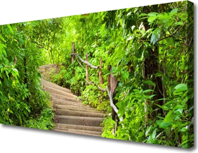 Produktbild von Tulup Leinwand-Bilder 100x50 Wandbild Canvas Kunstdruck Treppen Natur