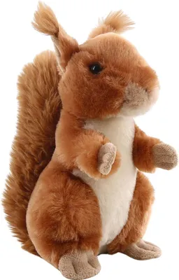 Produktbild von Eichhörnchen 20 cm