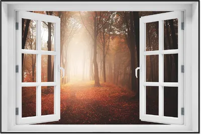 Produktbild von Wallario Wandbild mit Fenster-Illusion: Herbstwald - Weg zu einer Lichtung im Wald, Größe: 61 x 91,5 cm, Poster mit schwarzem Aluminiumrahmen