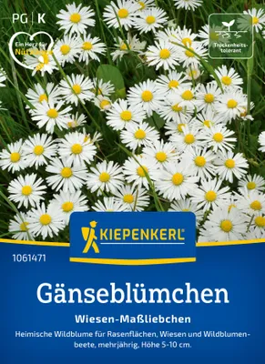 Produktbild von Kiepenkerl Saatgut Gänseblümchen Wiesen-Maßliebchen für ca. 3-5 m²
