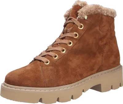 Produktbild von Paul Green Stiefelette Stiefelette Veloursleder