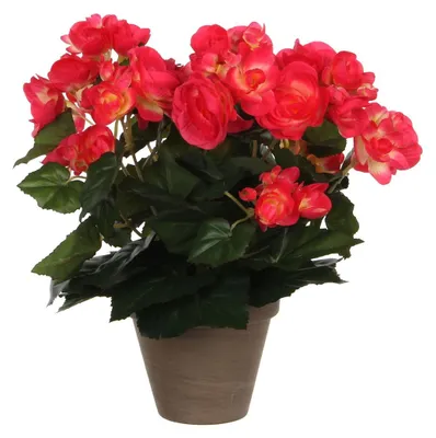Produktbild von Kunstblume Begonie Ø 25 H 30 cm rosa