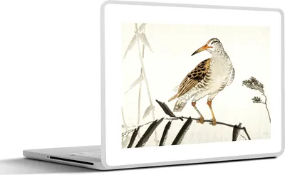 Produktbild von MuchoWow® Laptop Aufkleber Sticker Cover Vogel - Zweig - Skandinavisch - Japanisch 40x30 cm - Laptop Dekoration - Selbstklebend