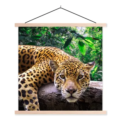 Produktbild von MuchoWow® Textilposter Jaguar ruht 120x120 cm mit holzfarbenen Rahmen - Textil-Poster