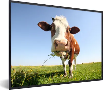 Produktbild von MuchoWow® Gerahmtes Poster Kuh - Tiere - Blumen - Gras 80x60 cm - Poster mit Schwarzem Bilderrahmen Wandposter Rahmen Foto Bilder - Schwarzem - Mit Gestell