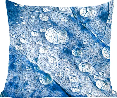 Produktbild von MuchoWow® Zierkissen Sofakissen Wohnzimmer Dekokissen 45x45 cm Tropfen auf einem blauen Blatt - Schlafpolster - Polster für das Sofa