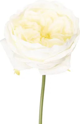 Produktbild von Clayre & Eef Kunstblume Rose 35 cm Weiß Kunststoff