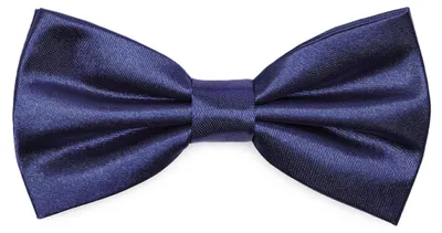 Produktbild von Ladeheid Elegante Herren Fliege -Hochwertig Glänzend Verstellbar BMS (12cmx6cm)